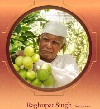 Shri Raghupat Singh (Posthumous)